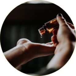 Ayurvedic Longevity Specialist